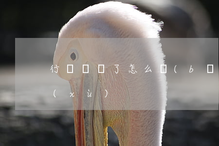 行駛證丟了怎么補(bǔ)辦需要什么手續(xù)