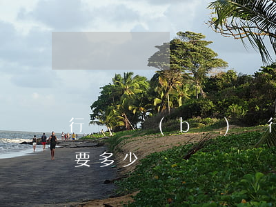 行駛證補(bǔ)辦(行駛證補(bǔ)辦需要多少錢)