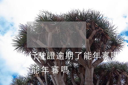 行駛證逾期了能年審嗎怎么辦（行駛證逾期了能年審嗎）