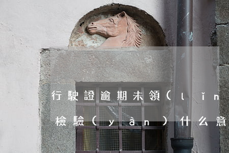 行駛證逾期未領(lǐng)(行駛證逾期未檢驗(yàn)什么意思)