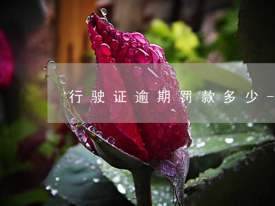行驶证逾期罚款多少-行驶证逾期罚款多少