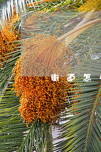街道怎么填