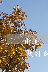街道說朋友欠信用卡的(朋友欠信用卡的錢催款打到我這,咋辦)