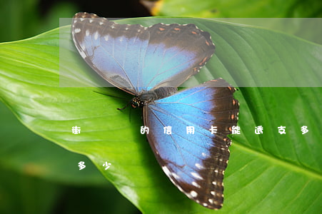 街邊辦的信用卡能透支多少(辦信用卡能透支多少錢)