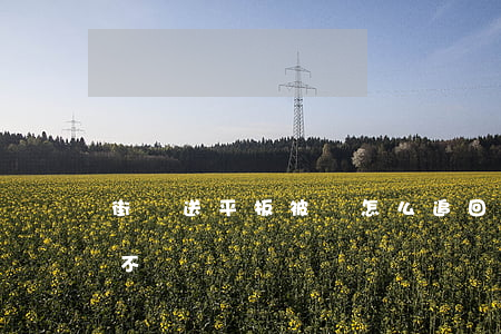 街頭送平板被騙怎么追回(送平板是騙局違法不)