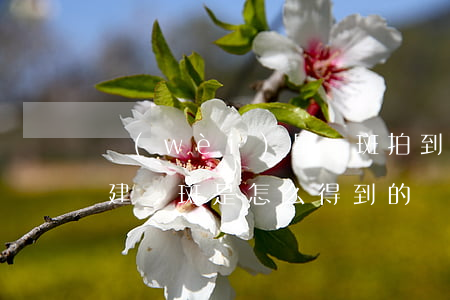 衛(wèi)星圖斑拍到就是代表違建嗎(違建圖斑是怎么得到的)
