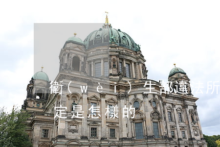 衛(wèi)生部違法所得的認(rèn)定是怎樣的