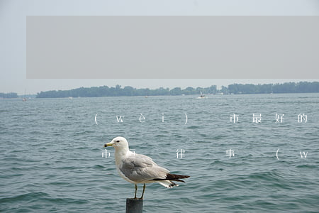 衛(wèi)輝市最好的律師(衛(wèi)輝市恒輝律師事務(wù)所)