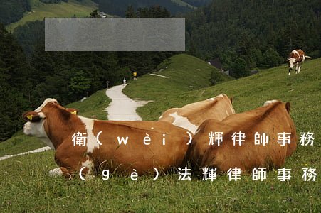 衛(wèi)輝律師事務(wù)所有幾個(gè)(法輝律師事務(wù)所怎么樣)