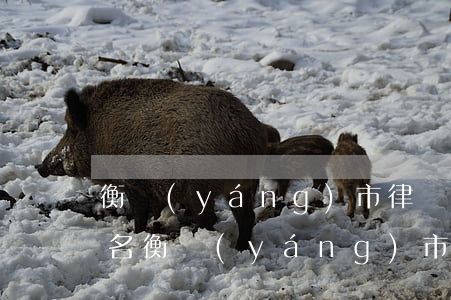 衡陽(yáng)市律師事務(wù)所排名(衡陽(yáng)市比較出名的律師事務(wù)所)