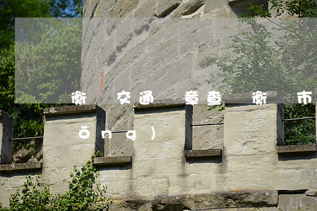 衡陽交通違章查詢(衡陽市違章查詢系統(tǒng))