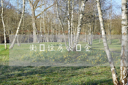 衡陽住房公積金