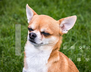 衡陽市即將逾期交房的樓盤 衡陽市即將逾期交房的樓盤在哪里
