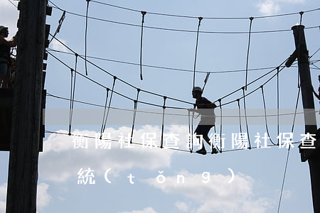 衡陽社保查詢(衡陽社保查詢個人賬戶查詢系統(tǒng))