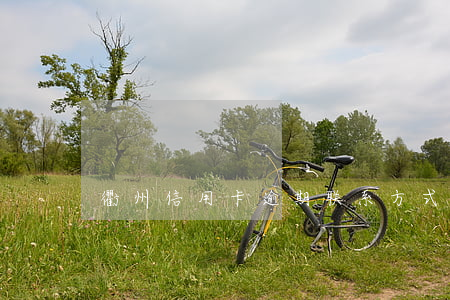 衢州信用卡逾期联系方式-衢州电话查询