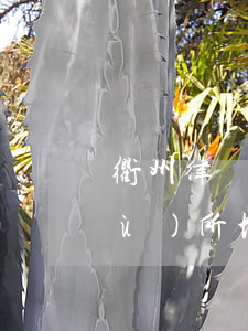 衢州律師事務(wù)所(衢州律師事務(wù)所地址)