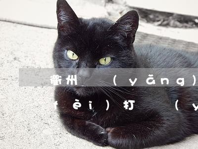 衢州贍養(yǎng)糾紛律師怎么收費(fèi)(打贍養(yǎng)費(fèi)律師的費(fèi)用)