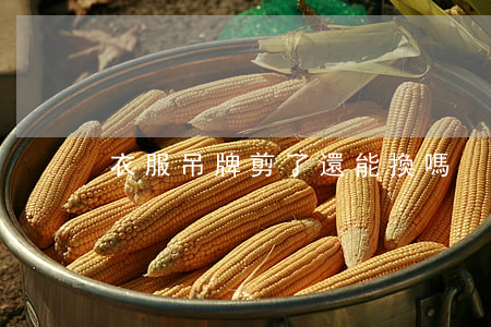 衣服吊牌剪了還能換嗎
