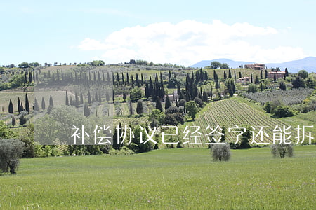 补偿协议已经签字还能拆迁维权吗