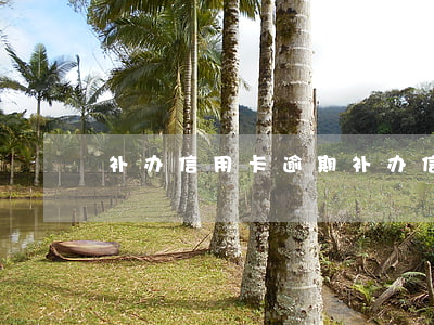补办信用卡逾期(补办信用卡逾期了怎么办)