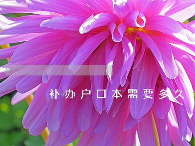 补办户口本需要多久(补办户口本需要多久)