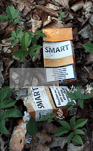 补办身份证要多久加急(补办身份证要多久加急)