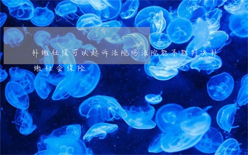 补缴社保可以起诉法院吗(法院能不能判决补缴社会保险)