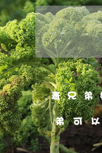 表兄弟姐妹能繼承遺產(chǎn)嗎(表兄弟可以繼承遺產(chǎn)嗎)