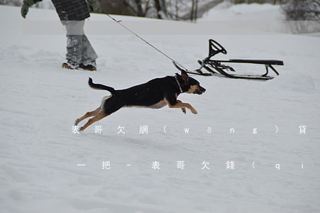 表哥欠網(wǎng)貸還不起該不該幫他一把-表哥欠錢(qián)不還怎么辦