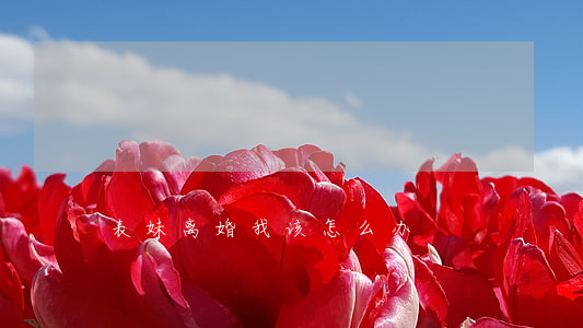 表妹离婚我该怎么办