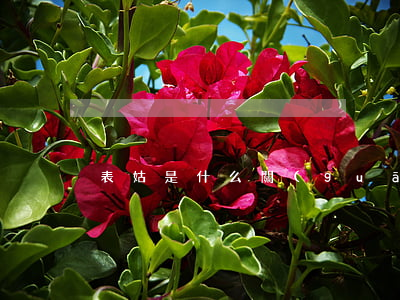 表姑是什么關(guān)系