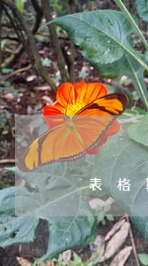 表格算逾期庫存 表格算庫存用什么公式