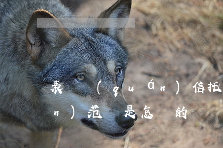 表決權(quán)信托的表決權(quán)范圍是怎樣的