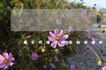 表见代理小股东如何维护权益