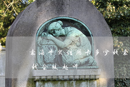 袁海平欠信用卡多少钱(袁海平欠信用卡多少钱会被起诉)