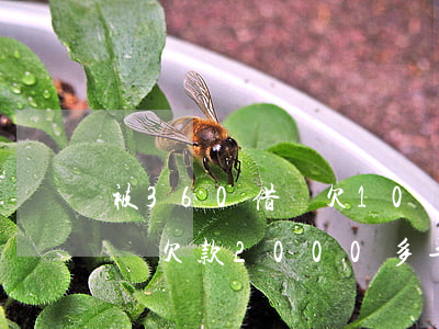 被360借條欠10萬(wàn)(360借條欠款2000多半年了會(huì)被起訴嗎)