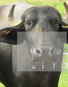 被360起訴了怎么辦(360起訴后會(huì)怎樣)