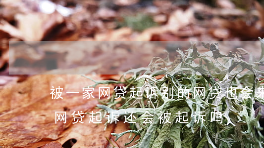 被一家网贷起诉别的网贷也会来吗-被一家网贷起诉还会被起诉吗