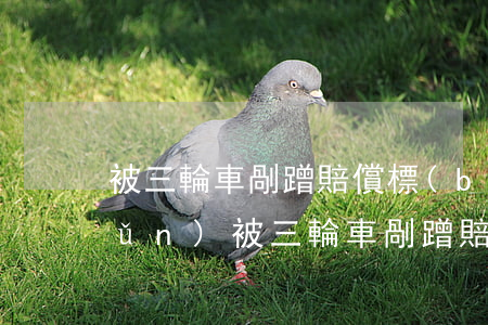 被三輪車剮蹭賠償標(biāo)準(zhǔn)(被三輪車剮蹭賠償標(biāo)準(zhǔn))