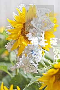 被上征信的網(wǎng)貸起訴(上征信的網(wǎng)貸還不上會坐牢嗎)