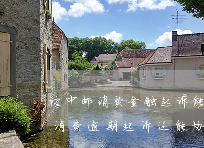 被中邮消费金融起诉,能否协商分期还款（中邮消费逾期起诉还能协商分期）