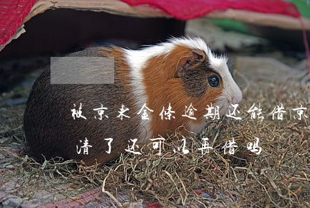 被京东金条逾期还能借(京东金条逾期两天还清了还可以再借吗)