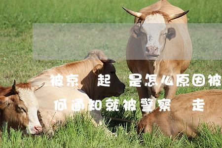 被京東起訴是怎么原因 被京東起訴沒接到任何通知,就被警察帶走