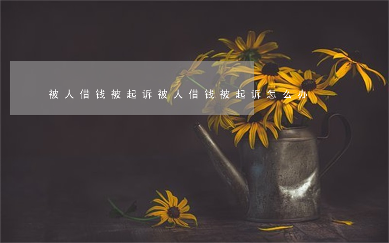 被人借钱被起诉(被人借钱被起诉怎么办)