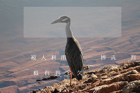 被人利用詐騙賭博洗錢判多久(幫賭博洗錢大概有判多久)