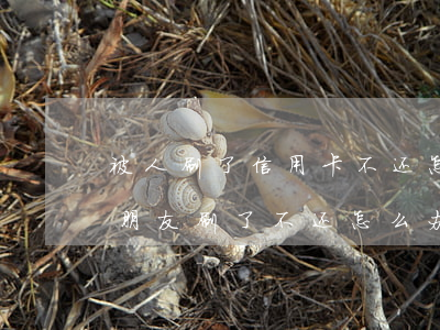 被人刷了信用卡不还怎么办(自己的信用卡被朋友刷了不还怎么办)
