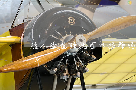 被人微信骚扰可以报警吗（微信被骚扰如何起诉）