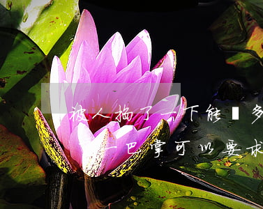 被人掐了一下能賠多少錢(qián)?(被打了一巴掌可以要求賠多少錢(qián))