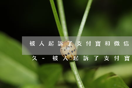 被人起訴了支付寶和微信凍結(jié)多久-被人起訴了支付寶和微信凍結(jié)多久解封