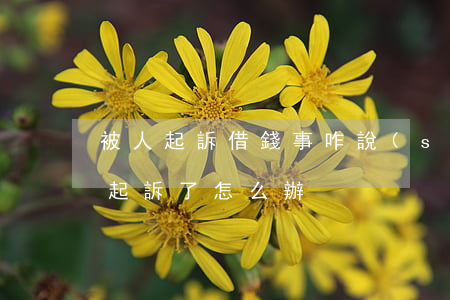 被人起訴借錢事咋說(shuō)(借錢被人起訴了怎么辦)